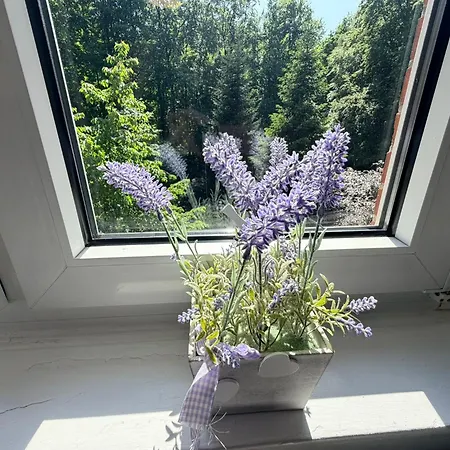 Appartement Wald & Welle Mit Garten Superior-appartement Ostsee In 850m Graal-Mueritz